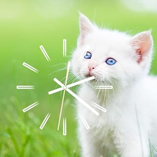Cute Cats Screensaver For Fire TV - Analog & Digital Clock Screensaver