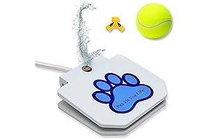 Dog Pedal Water Fountain: Pet Fit for Life