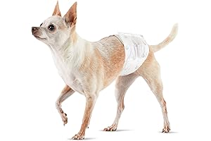 Amazon Basics Male Dog Diapers for Small Dogs