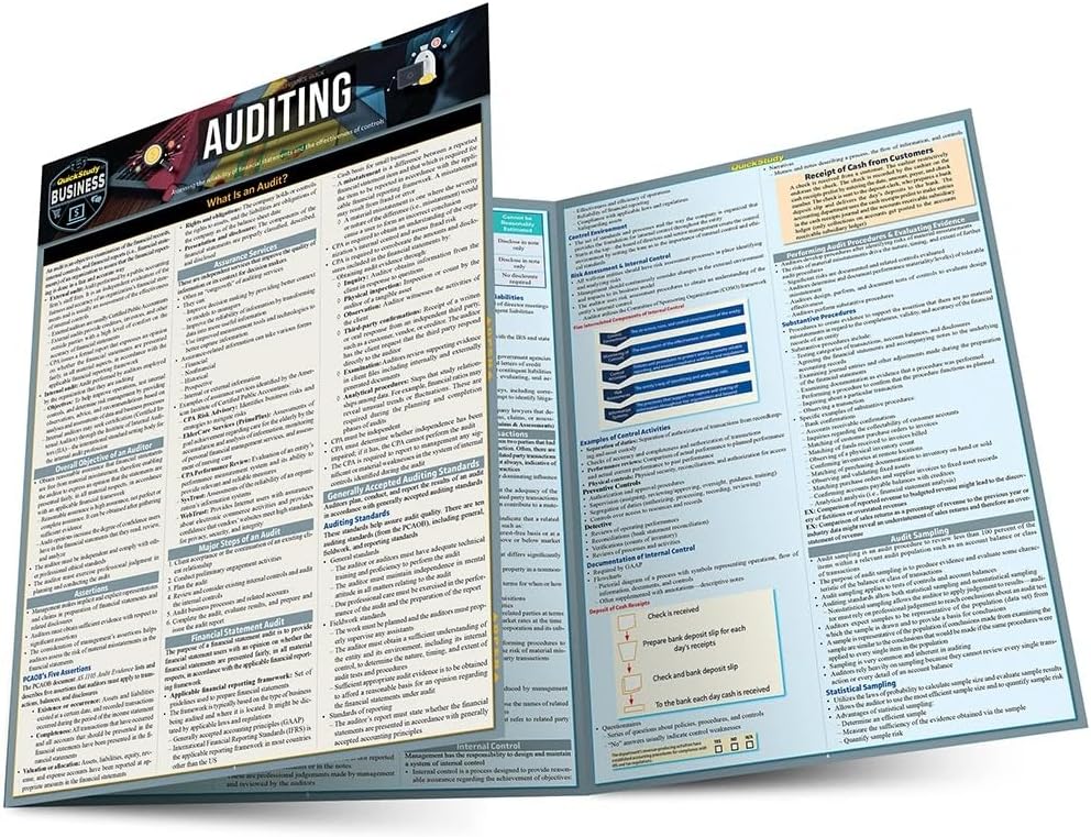 Auditing: A Quickstudy Reference Tool