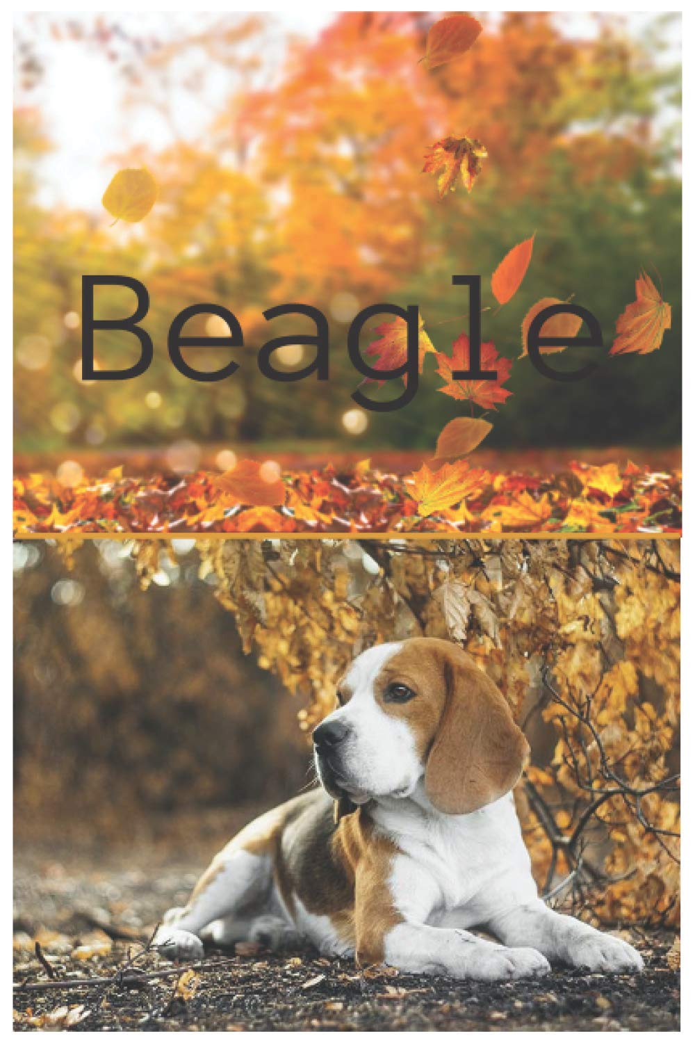 Notebook Dogs training log : The Beagle: A "6*9" Funny Notebook Dogs Training Cover Of Breeds Dogs The Beagle Feauturing With Friendly, Curious, Merry