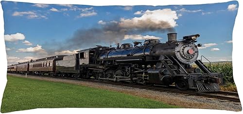 Ambesonne Funda de cojín con diseño de motor de vapor, locomotora vintage en paisajes campestres, imagen de tren de soplo de hierba verde, funda de