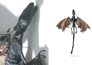 71efULCx8gL._AC_UF350,