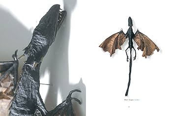 【初版】幻獸標本採集誌 初版】幻獸標本採集誌 幻獸標本採集誌 | 江本 創 |本 | 通販