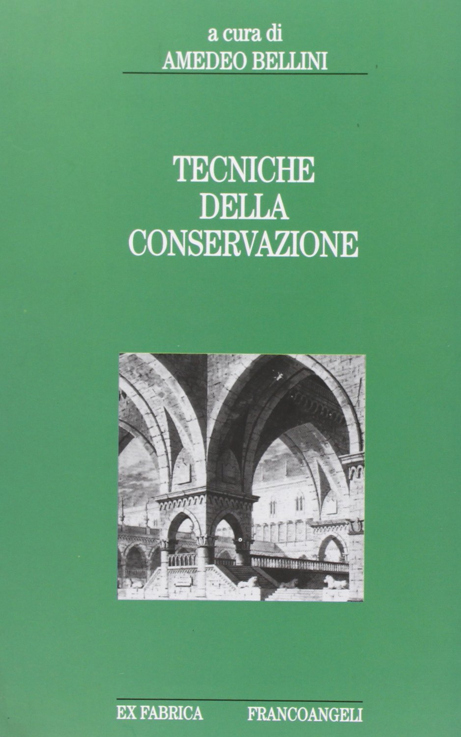 Tecniche della conservazione guide pour maîtriser la restauration de monuments
