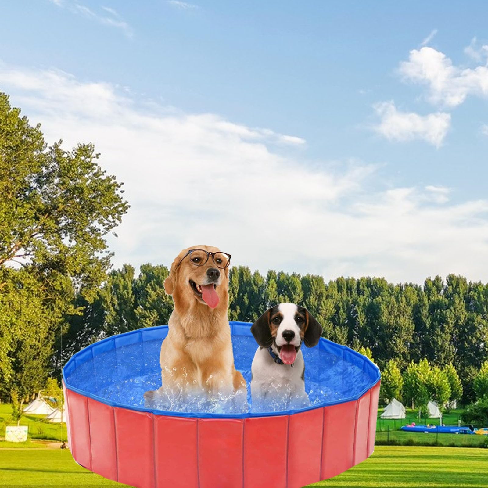 Butyeak Plegable - Piscina para Perros y Gatos, Portátil PVC, 60 x 20 cm