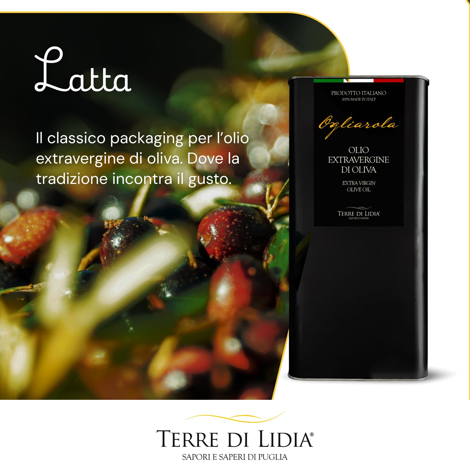 Terre di Lidia - Olio extravergine di oliva - 1 Latta da 5 L - Filiera corta, Campagna 2025/2026, Estratto a freddo - Varietà Ogliarola, Gusto Delicato - Produzione 100% italiana