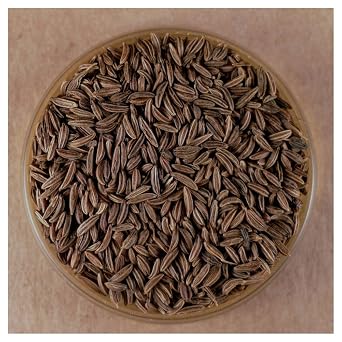 Caraway Seeds, Whole 8 oz