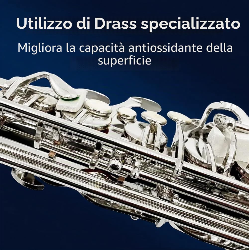 Sassofono contralto in eb professionale, kit completo per principianti, con custodia, bocchino, cinghie, ance e kit di pulizia, perfetto per studenti e adulti (nichel)