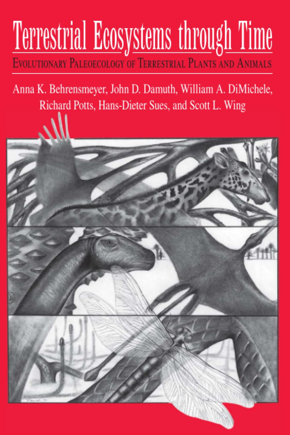 Terrestrial Ecosystems Through Time: Evolutionary Paleoecology of Terrestrial Plants and Animals