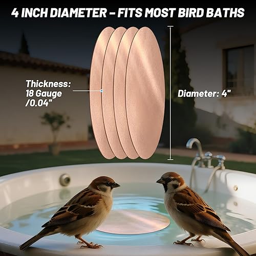 Miniatura 38 de 2 láminas de cobre puro 99.9% + 6 x 6 pulgadas, grosor de calibre 18, 6.024 x 6.024 x 0.039 in, sin arañazos, placas de cobre unidas con película