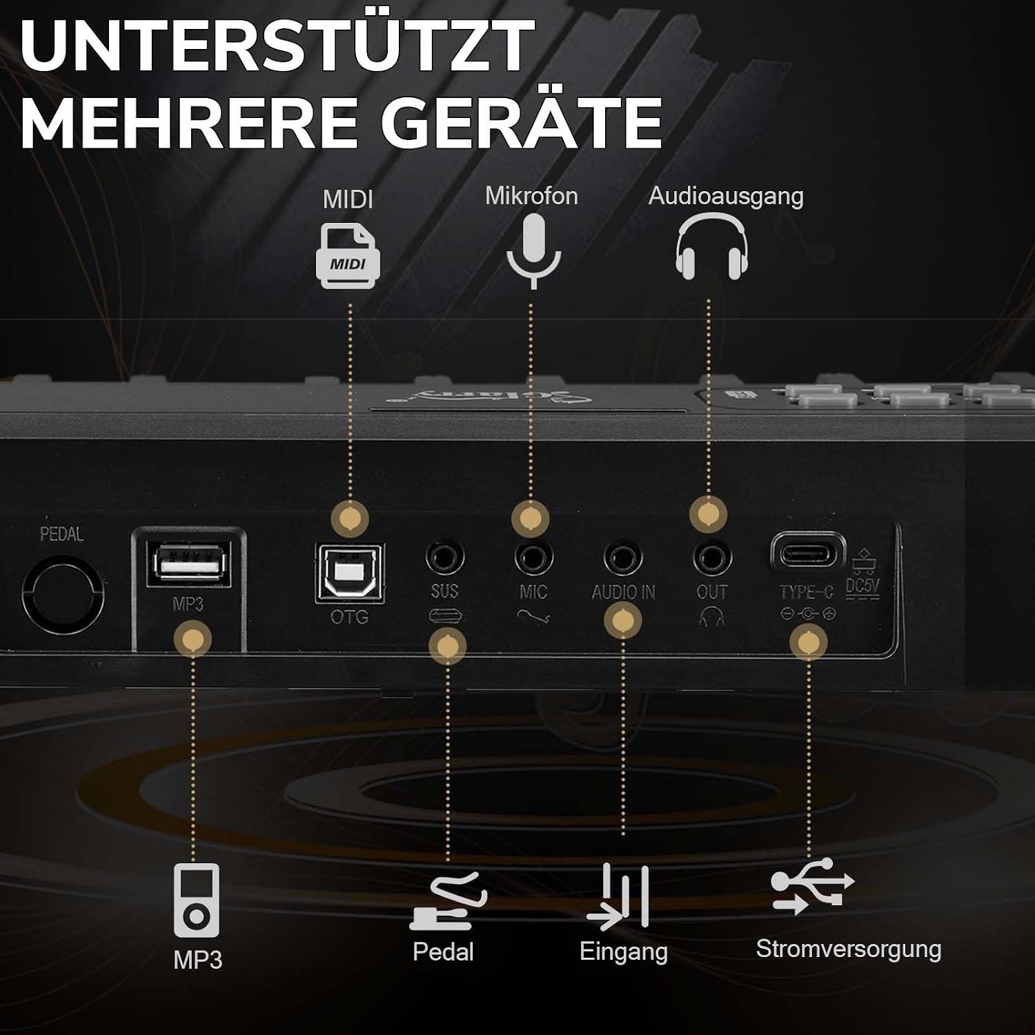 Rear panel of the digital piano showing various input/output ports: MIDI, Microphone, Audio Out, USB, Pedal, and Power
