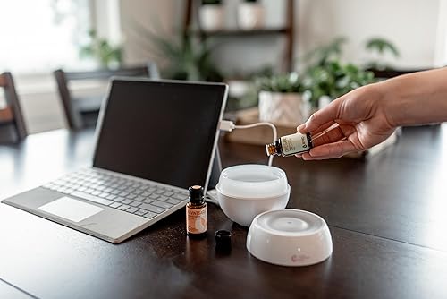 Miniatura 5 de Rocky Mountain Oils - Ravintsara - 0.5 fl oz - Aceite Esencial