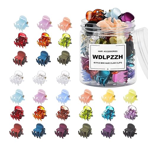 48pcs Mini Hair Claw Clips for Women Girls, Small Tiny Hair Clips Claws Little Plastic Jaw Clamps Clips with Transparent Box (Multi-Colored)