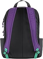 Amazon.com | Fjällräven Unisex Vardag Backpack 17 Violette/Coal