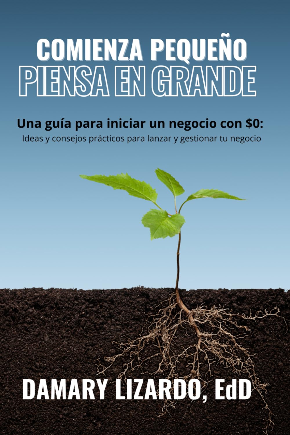 Comienza Pequeño, Piensa en Grande: Ideas y consejos prácticos para lanzar y gestionar tu negocio