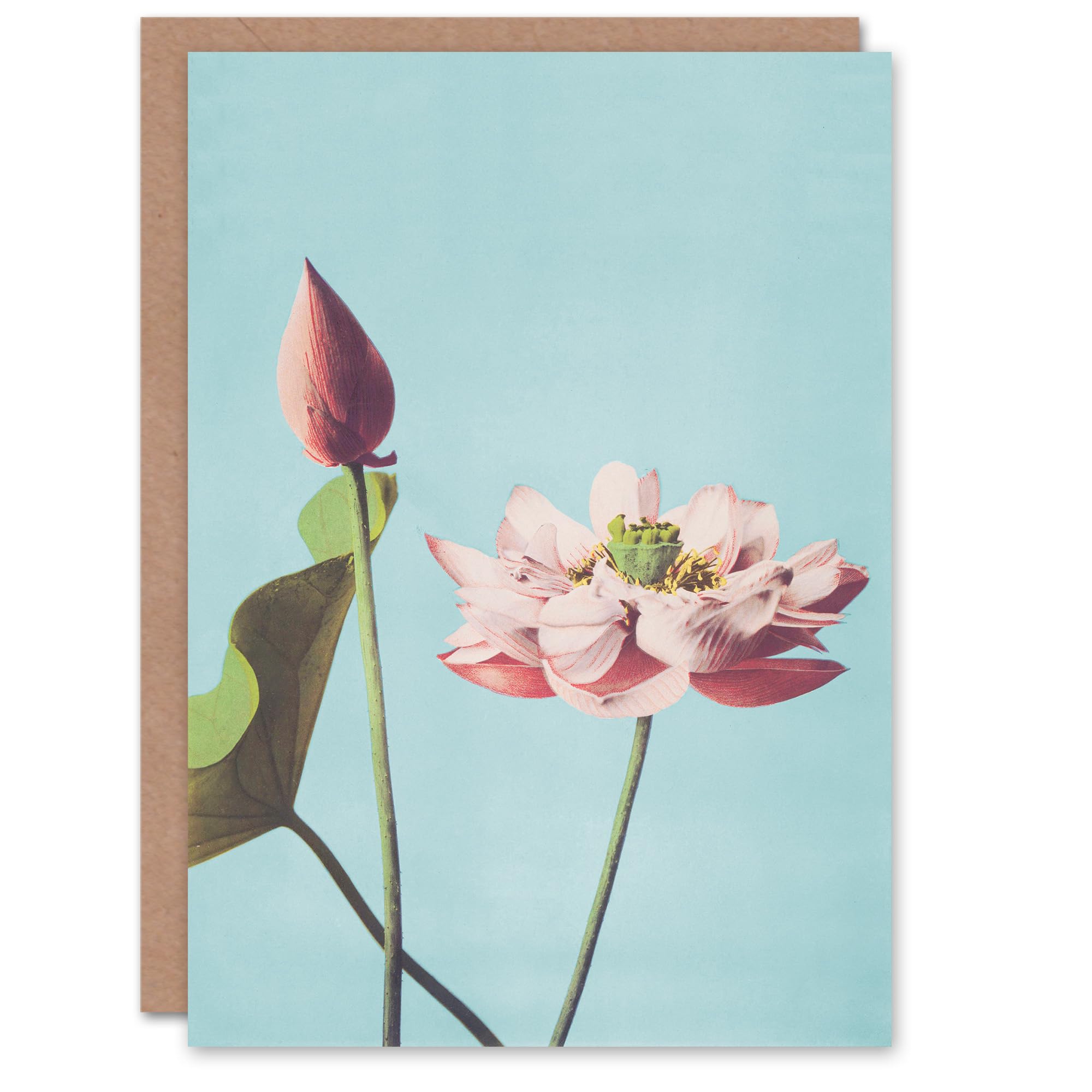 Artery8 Japanese Art Card Pink Lotus Flower Blooms Greeting Card