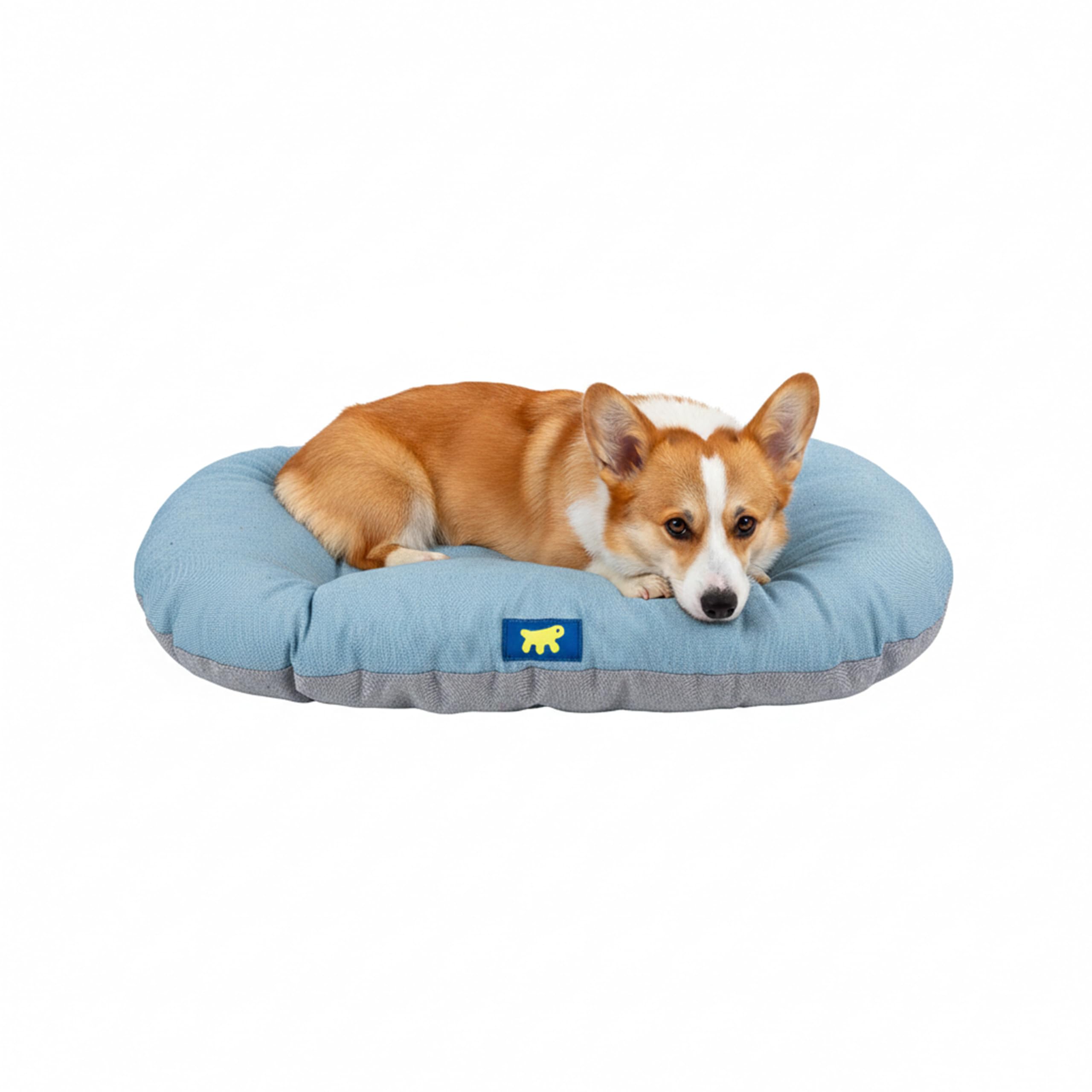 Ferplast Cuccia Cane Relax, Cuscino per cani di medie dimensioni, Cuccia Gatto, Tappetino per cucce e auto -Lavabile - in Cotone con Soffice Imbottitura, 65 x 42 cm. Azzurro