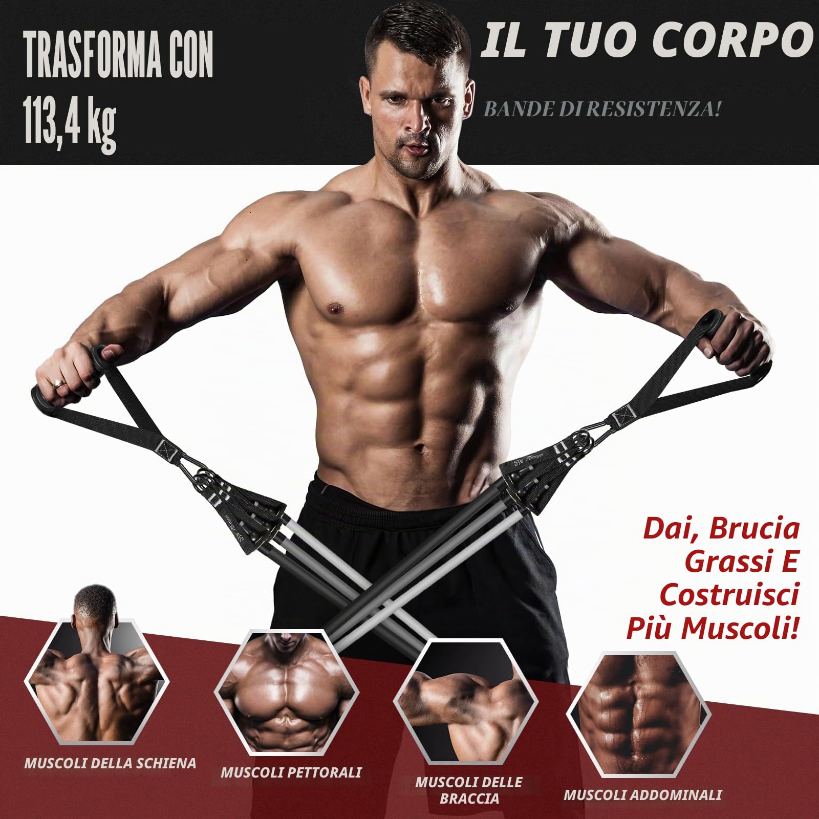 Elastici Fitness, Bande Elastiche Fitness con Maniglie e 5 Livelli di Bande di Resistenza da Lattice Naturale per Allenamento Palestra Pilates Yoga Riabilitazione, Kit Allenamento Casa per