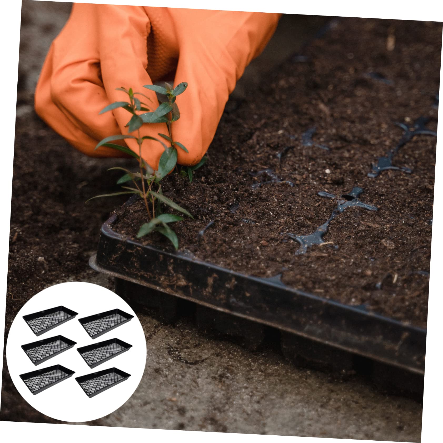 INOOMP 6pièces Lot de Plateaux De Culture pour Et Germination pour Plantes Haricots Mungo Arachides Et Haricots Noirs