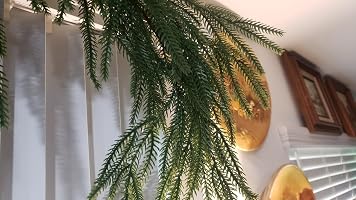 Artificial Norfolk Pine Garlands · Amazon Vine customer photo
