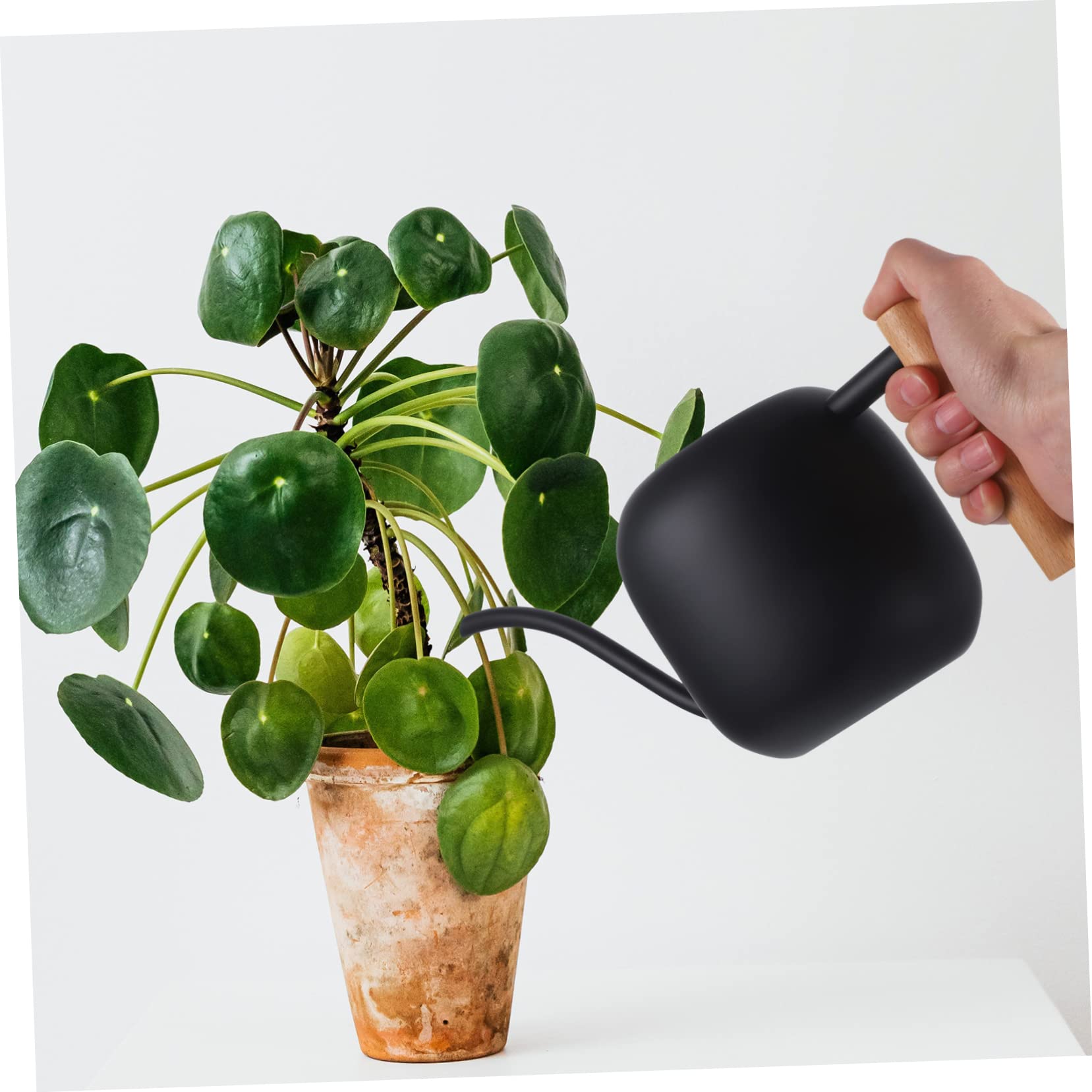 TOYANDONA Longue Bouche arrosoir Pouvez arrosoir de Jardin Joli arrosoir pour Plantes d'intérieur Petit arrosoir pour Plantes d'intérieur arrosoir Plantes d'intérieur Acier Inoxydable Noir