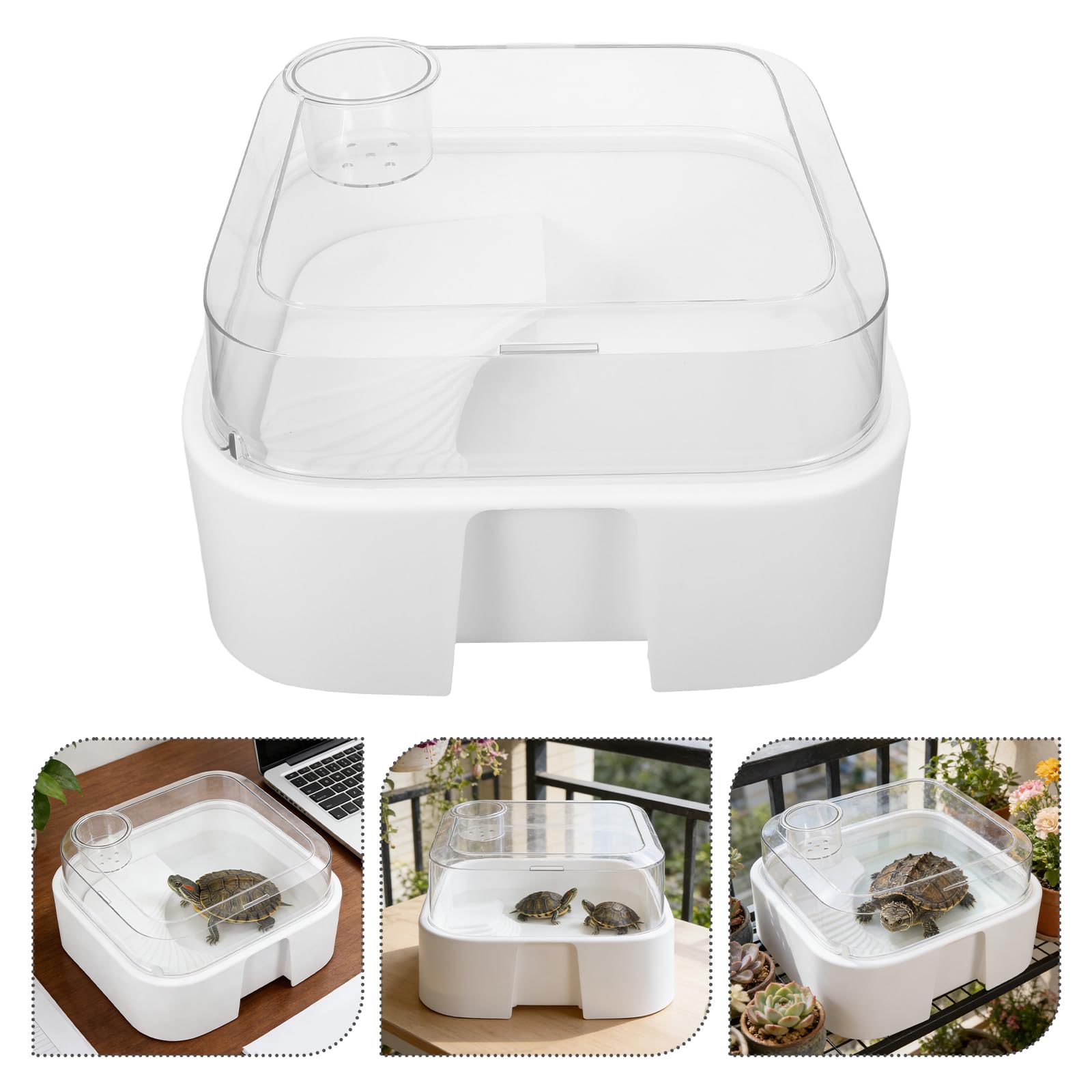 TOYANDONA Turtle Tank con Coperchio e Piattaforma per Bagni di Sole Habitat per Rettili in Plastica Sicuro Facile Pulizia per Tartarughe Acquatiche Piccole