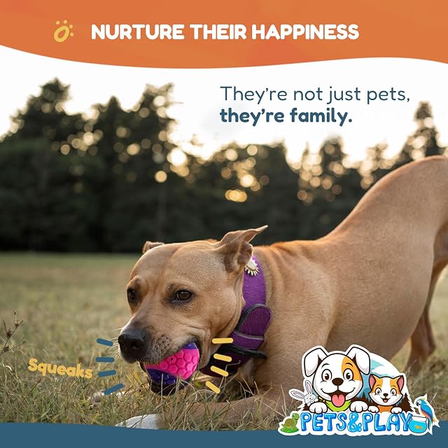 Foto 7 de 7 de Pets & Play Pelotas chirriantes para perro, paquete de 6 bolas duraderas mejoradas, fuertes y resistentes