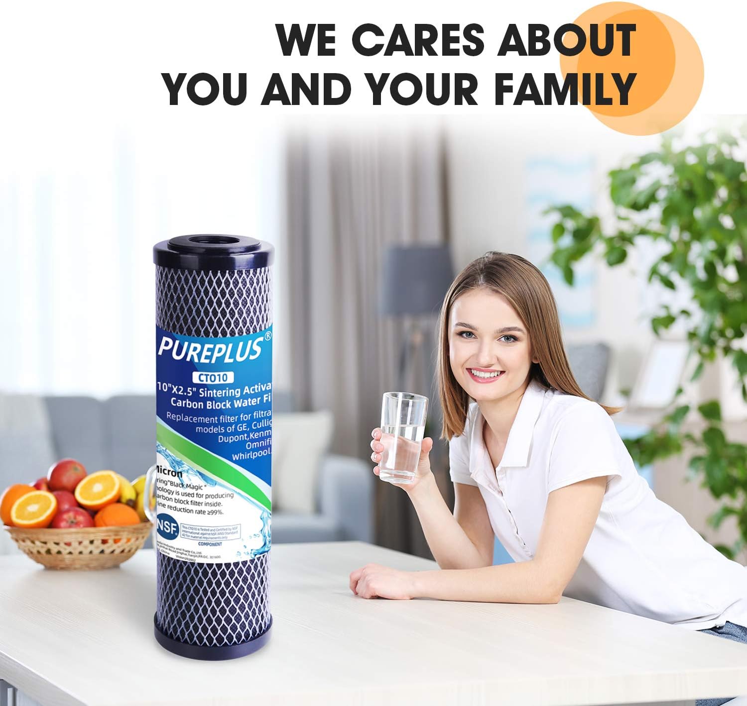 1 Micron 2.5" x 10" Whole House CTO Carbon Water Filter Cartridge Replacement for Countertop Water Filter System, Dupont WFPFC8002, WFPFC9001, FXWTC, SCWH-5, WHEF-WHWC, WHCF-WHWC, AMZN-SCWH-5, 2Pack : Tools & Home Improvement