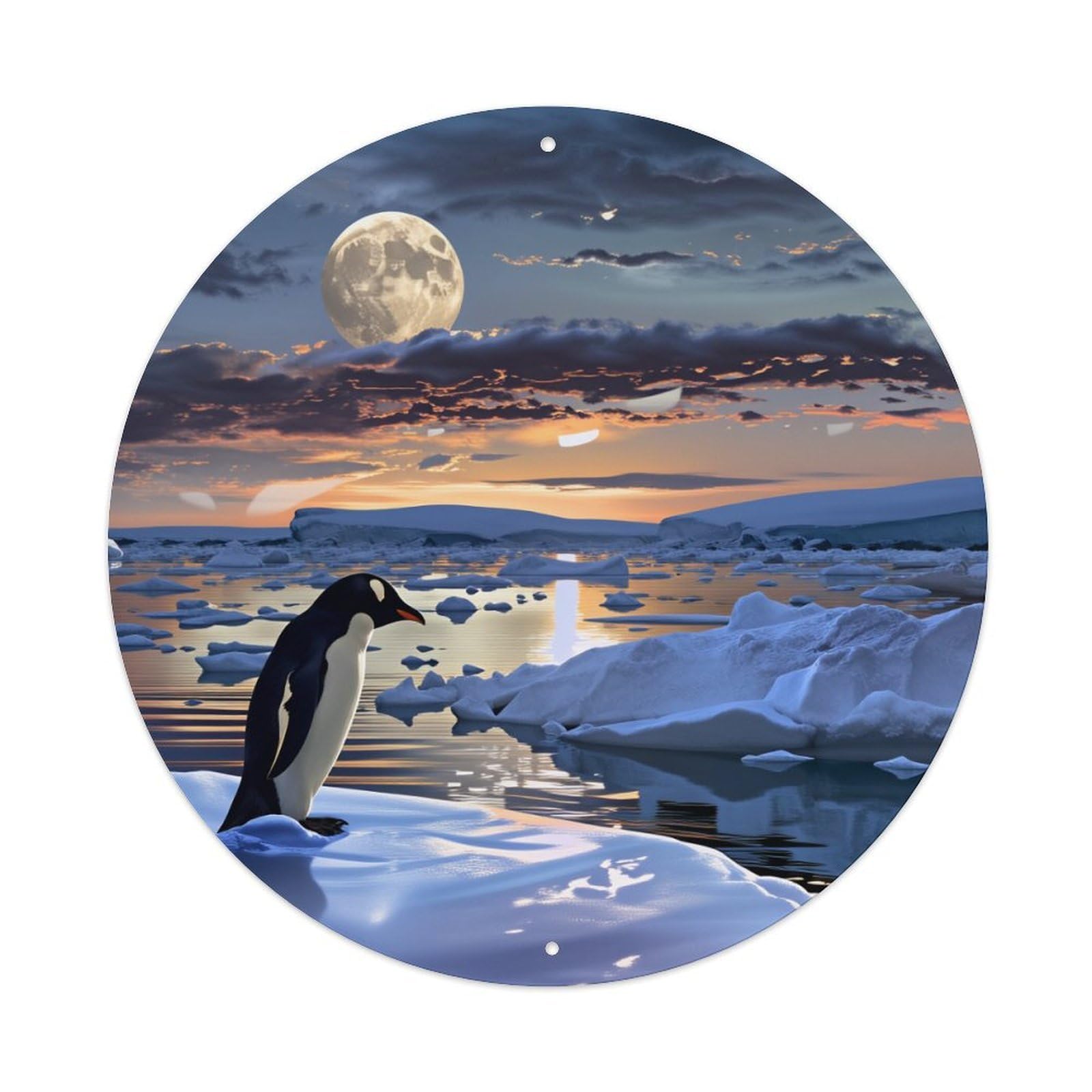 Wmlzdnwr Vintage Penguin On Ice Under Moonlit Sky With Clouds And Reflections Round Tin Sign,Retro Wall Art,Metal Poster For Home, Bar, Garage, Cafe, Rustic Indoor & Outdoor Decor, 8X8 Inches