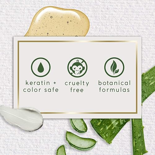 Miniatura 6 de THEORIE Champú desintoxicante de carbón y bambú purifica y restaura nutre el color y el cabello tratado con queratina sin sulfatos adecuado para