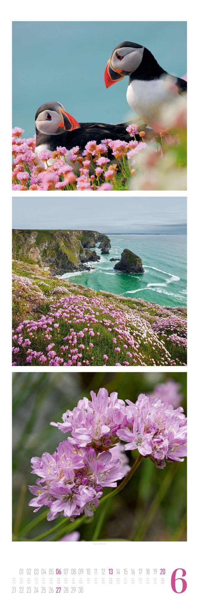 Nature Triplet-Kalender 2027 | Stilvoller Natur-Kalender im schlanken Hochformat (33x100 cm) | Triplet-Fotografie im Premium-Format