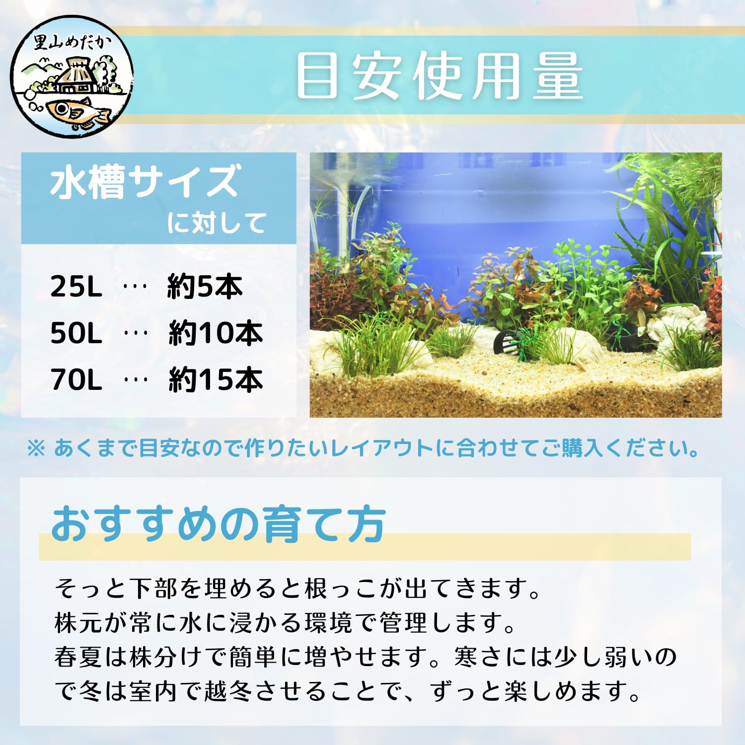 Amazon.co.jp: 里山めだか ウォーターコイン ウォーターマッシュルーム