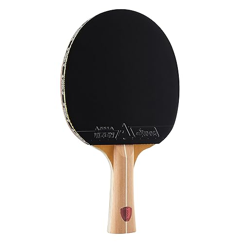 JOOLA Omega Control - Paddle de Ping Pong de Alto Nivel - Raqueta de Tenis de Mesa para Entrenamiento Avanzado con Mango Redondeado - Incluye Goma Vizon para Tenis de Mesa - Diseñado para el Control