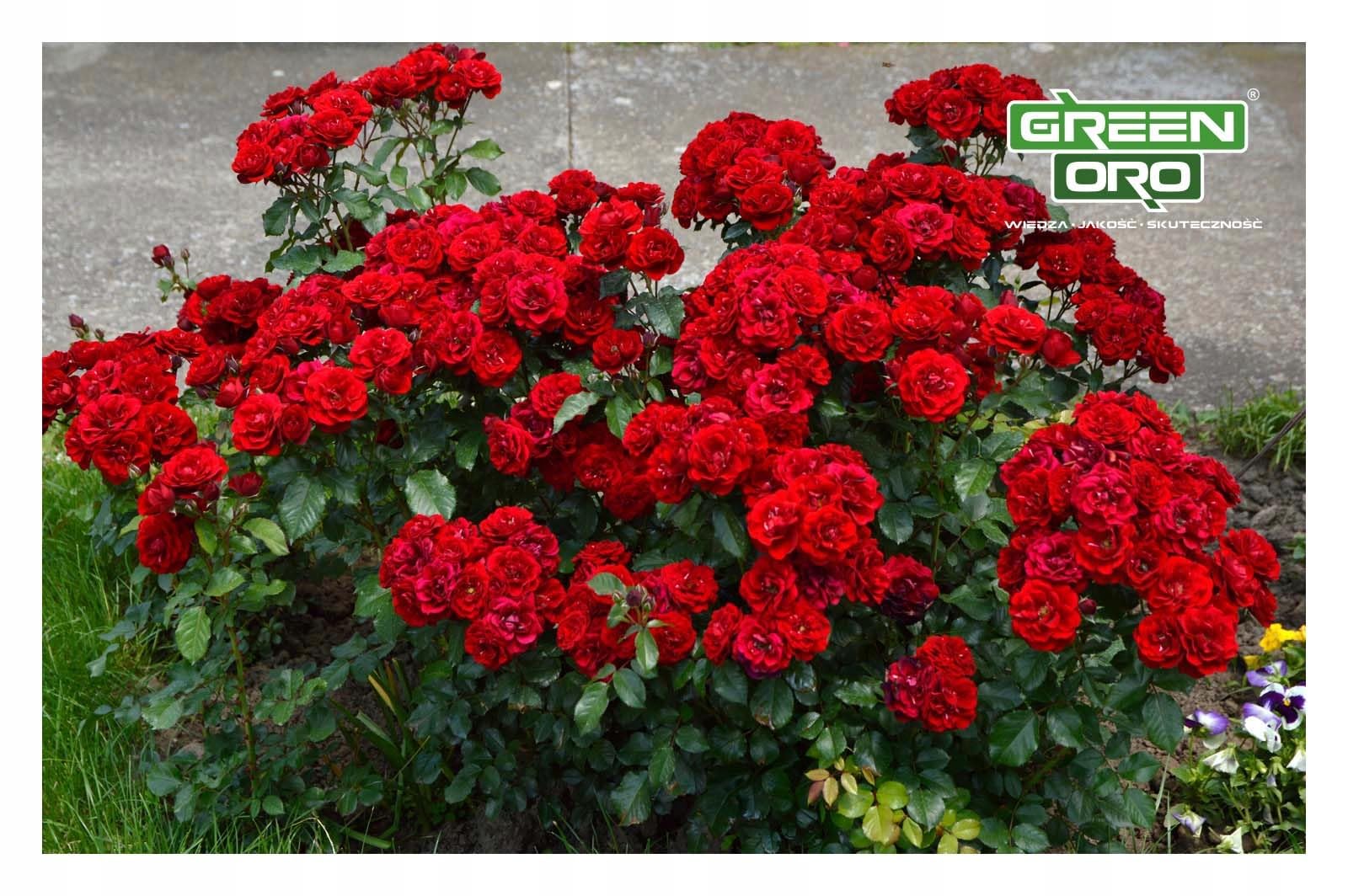 FLOWERS AKI 24kg Herbstdünger für Rosen, Blumen und Zierpflanzen geeignet
