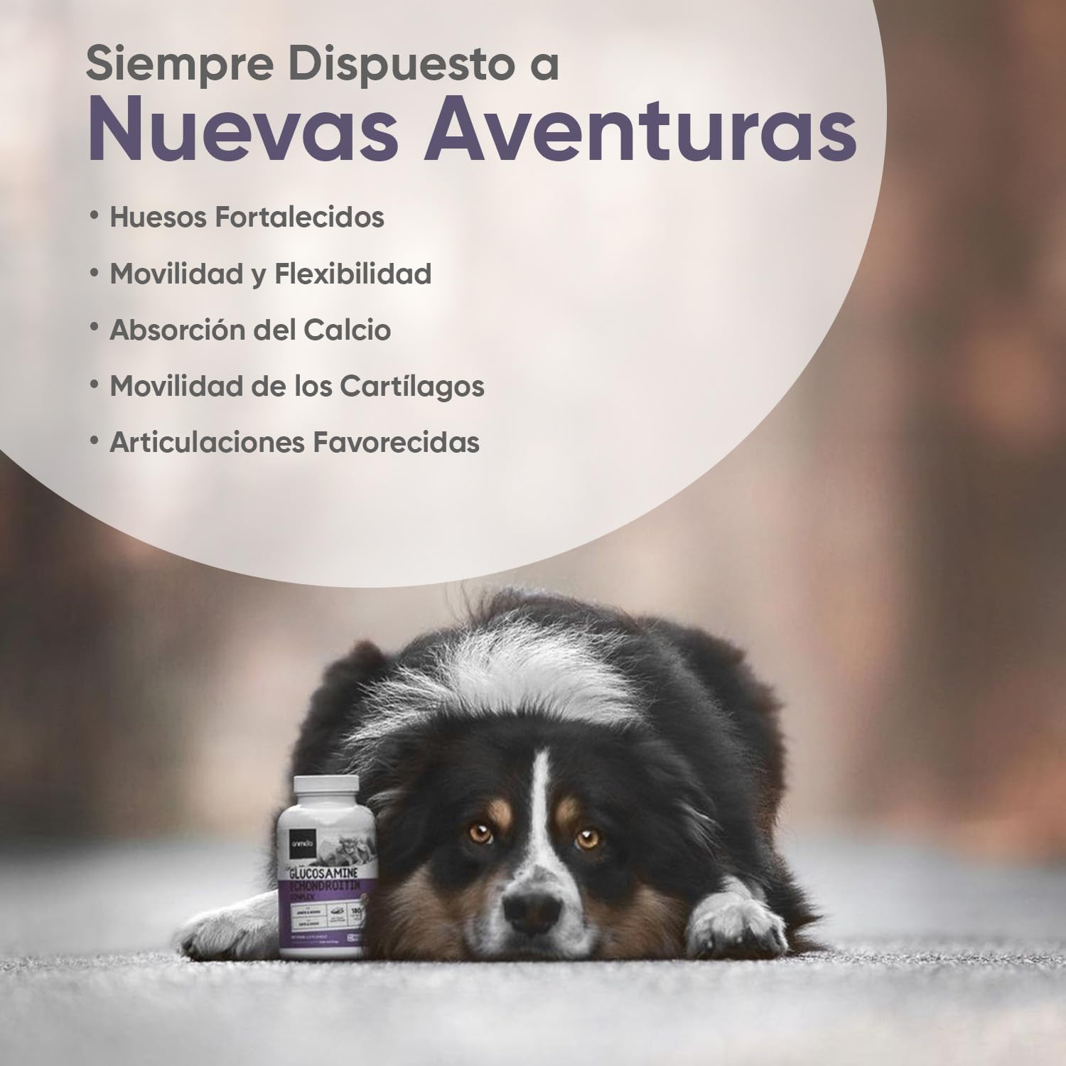 Complejo de Glucosamina y Condroitina 500mg para Perros y Gatos - 180 Cápsulas para Reforzar Articulaciones y Huesos - Condroprotector para Perros con Vitamina C, Cúrcuma, Jengibre y Rosa Mosqueta