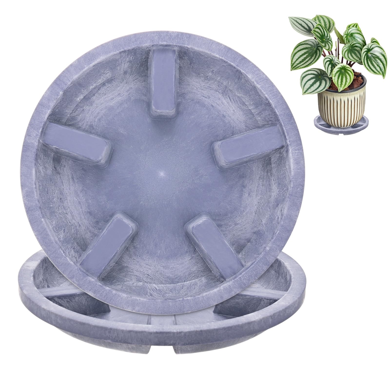 M METERXITY 2-Pack Plant Saucers 6 in OD Resin Indoor/Outdoor, Purple
