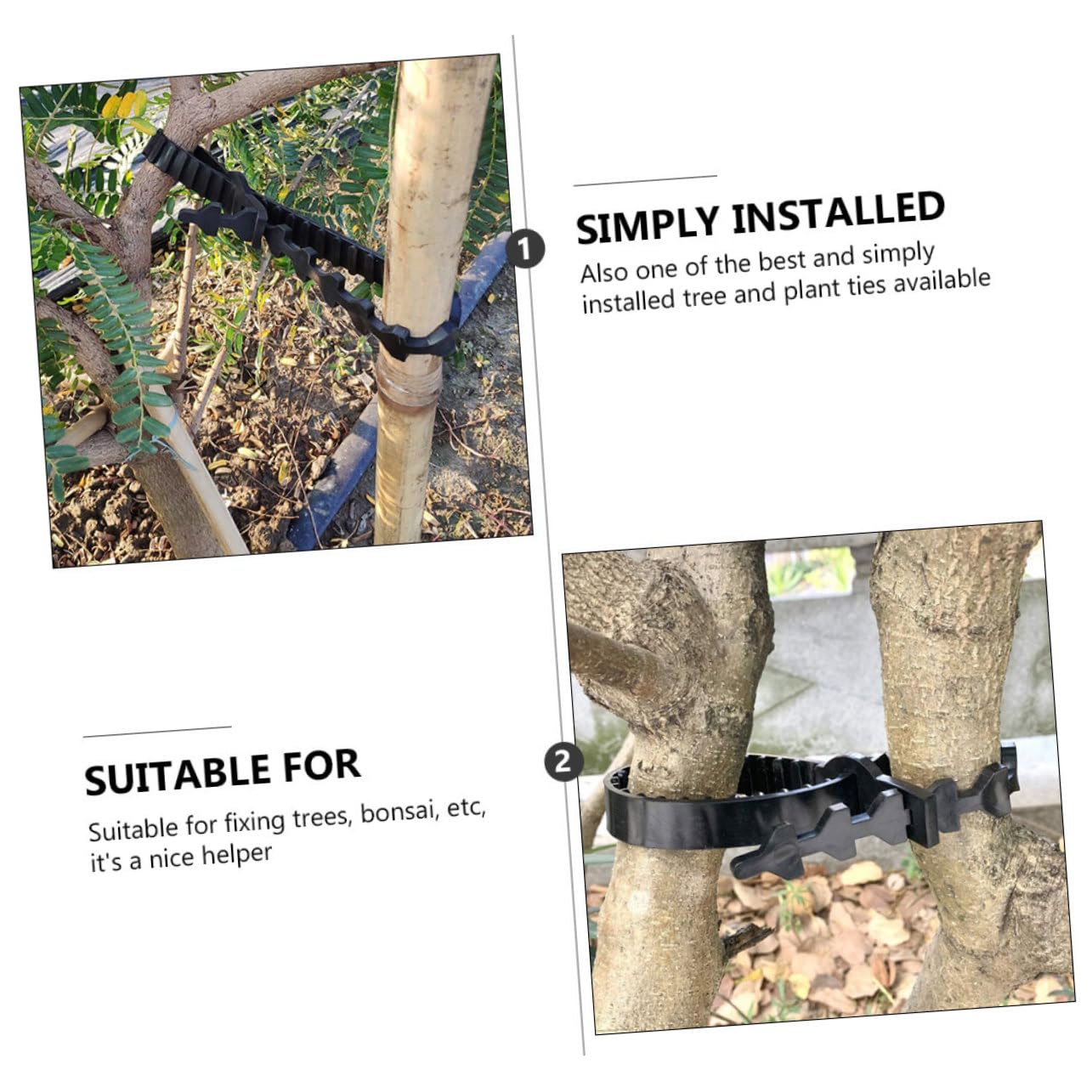 Baumbänder 10 Stück für Obstbäume Jungpflanzen Gummiverschlussband Schwarz Verstellbar zum Binden und Ausrichten von Ästen und Stämmen