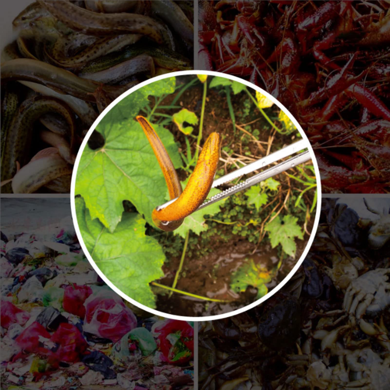 Pinze per Forbici Manico in Plastica Resistente Al Calore in Acciaio Inossidabile per la Pesca all'aperto per la Pesca (Piegare la bocca)