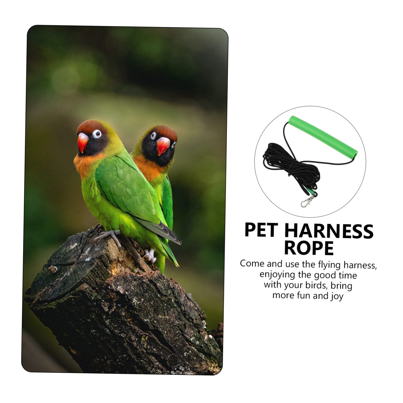 Chaleco Arnés para Pájaros para Loros Arnés de Cuerda de Tracción para 4 Pájaros Y Correa para Pájaros Domésticos