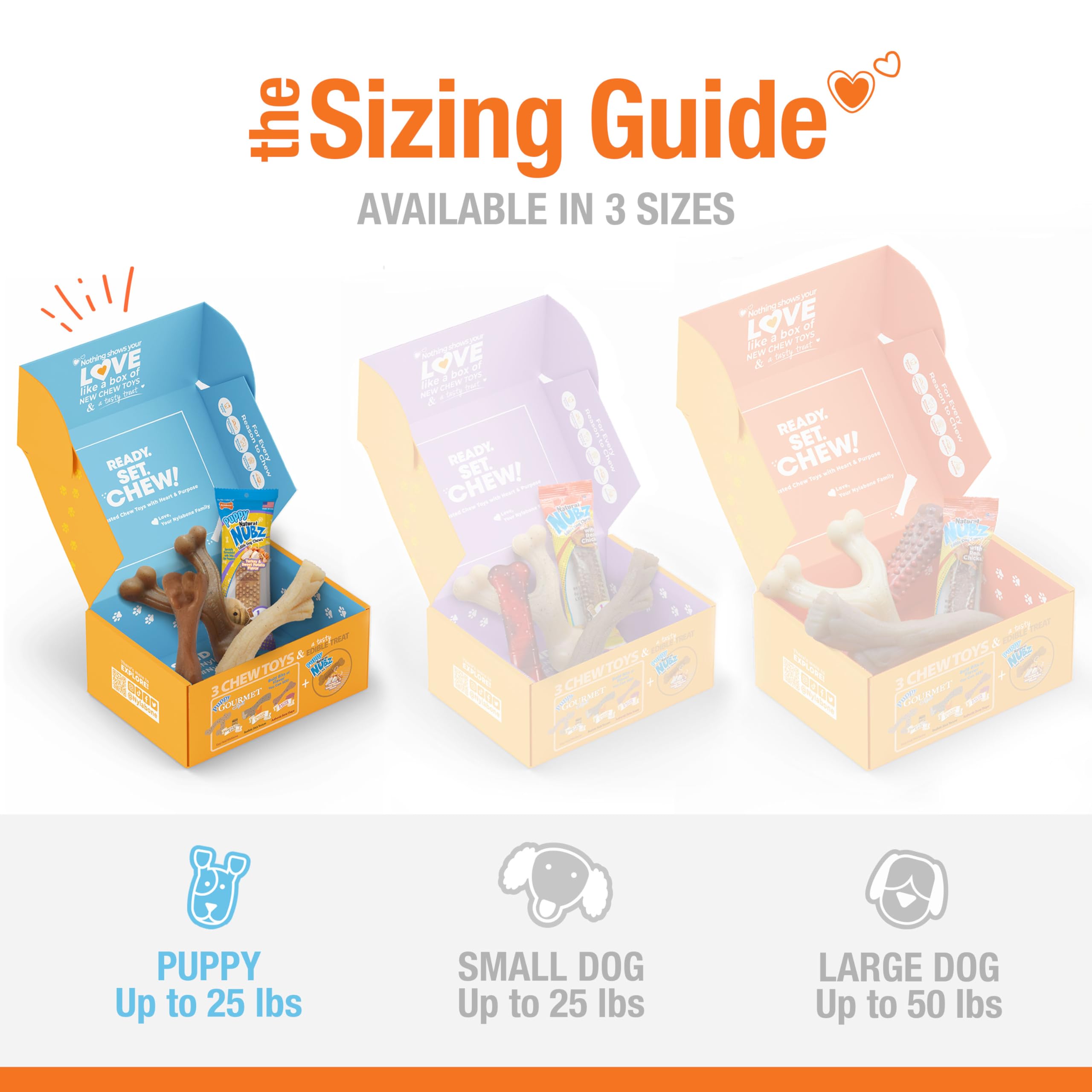 Nylabone Hundespielzeug-Geschenkbox, enthält 3 Starke Kauspielzeuge und 1 Hundeleckerli, Kauspielzeug für Welpen, klein/normal (4 Stück)