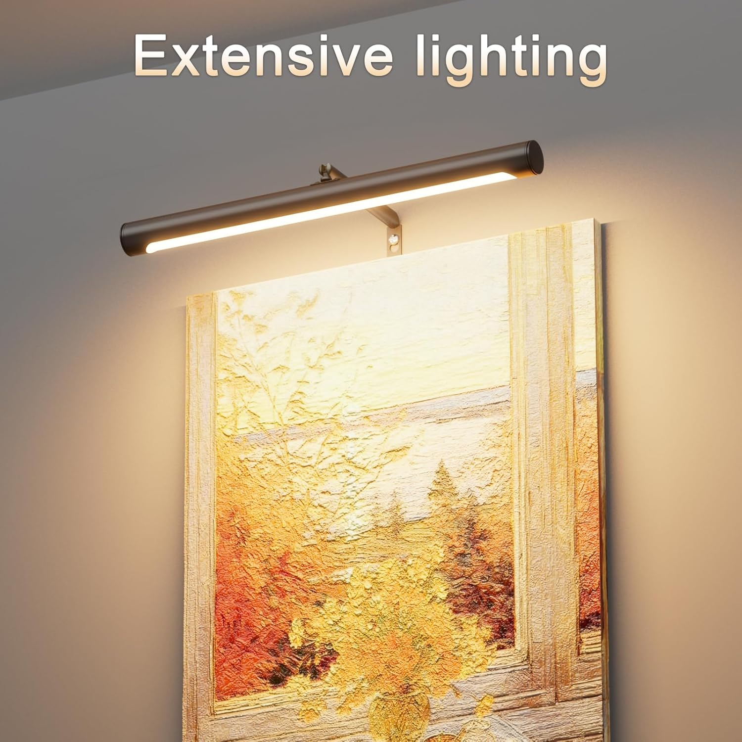 Picture Lights for Paintings Plug in, 16" Adjustable LED Picture Light Art Light with Timer, Remote Control Gallery Painting Wall Light for Picture Display Frame Dartboard Art Work (Black)