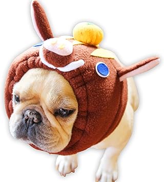Amazon Dogmarine犬ヅラ屋 干支犬ヅラ 亥 イノシシ みかん付き M サイズ Dogmarine犬ヅラ屋 ペット用品 通販