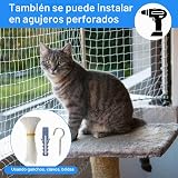 Ver la foto 4