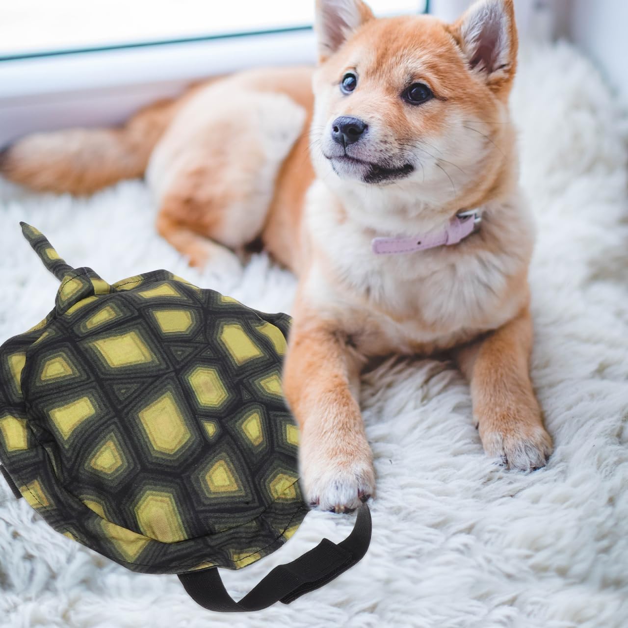 YARNOW Dog Turtle Shell Costume, Fun Pet Costumes for Halloween Parties and Festivities, Easy to Wear and Clean (Size L)