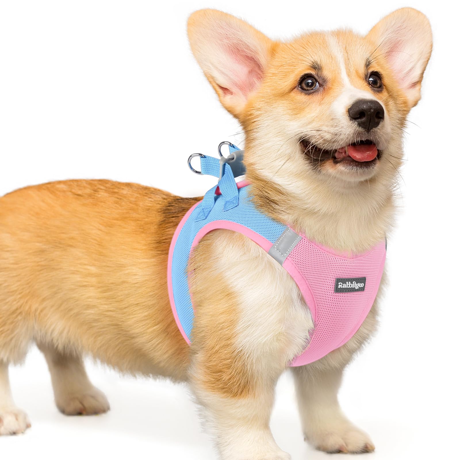 rabbitgoo Hundegeschirr kleine Hunde, Step-in Soft Mesh Hundegeschirr mit Sicherheitsverschluss, atmungsaktives und reflektierendes Welpengeschirr für kleine Hunde