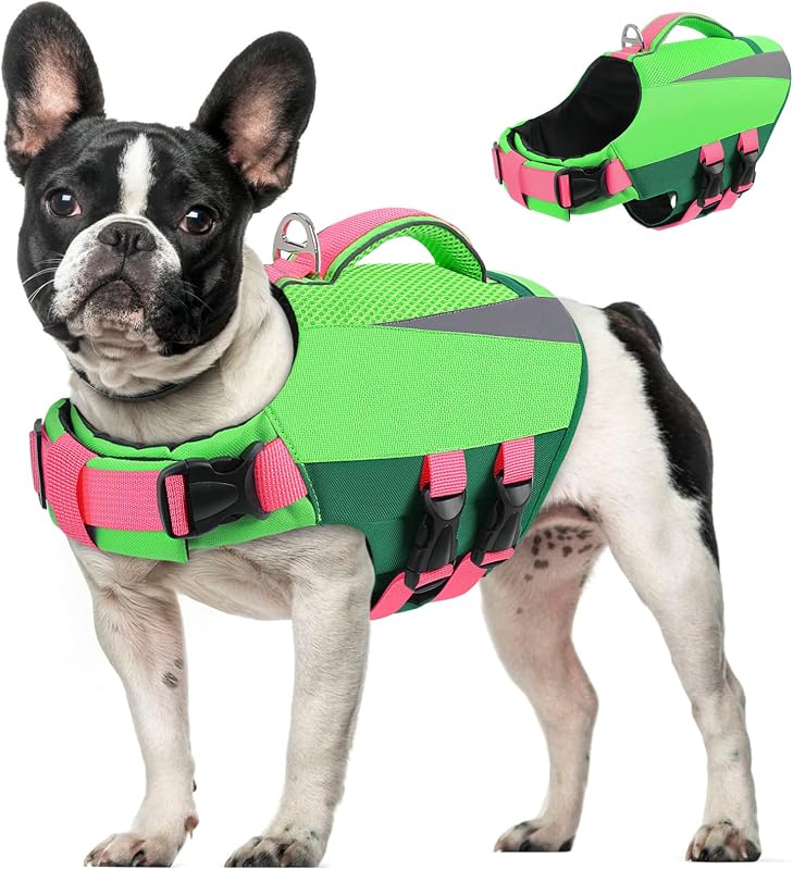 Colete salva-vidas para cães Queenmore com alça de resgate e faixas refletivas, Verde, XS