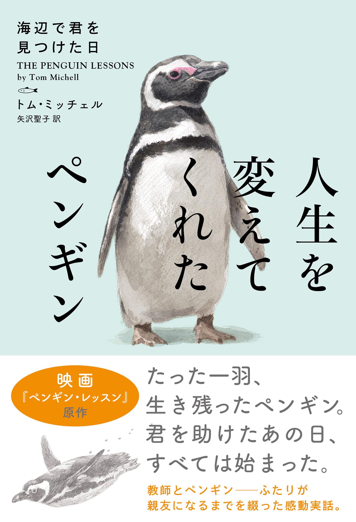 Amazon.co.jp: 人生を変えてくれたペンギン 海辺で君を見つけた日