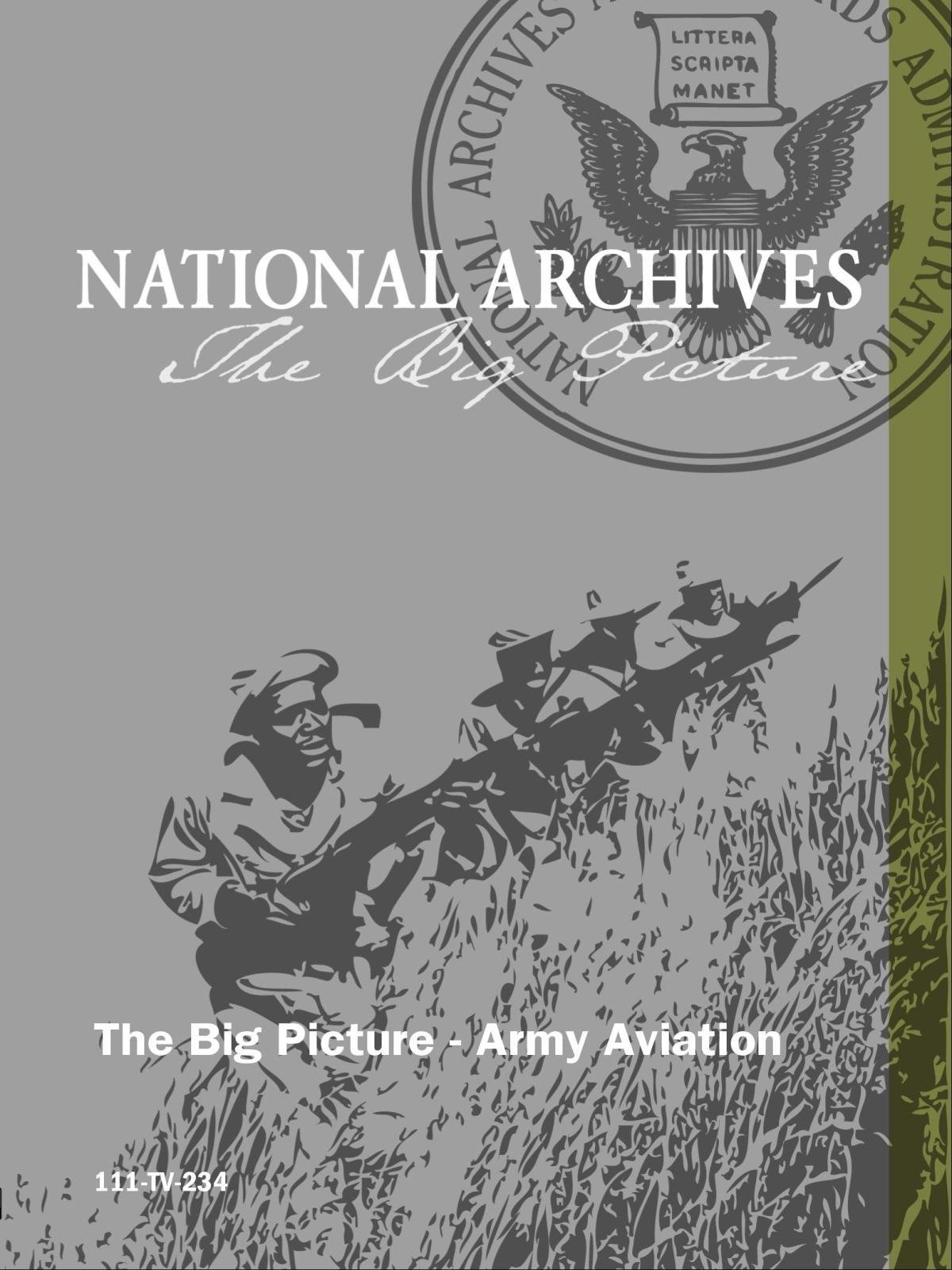 The Big Picture - Army Aviation