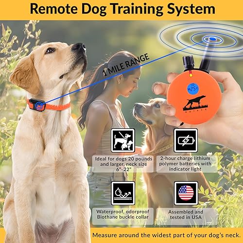 Miniatura 9 de Educator E-Collar - Collar de entrenamiento para perros con control remoto, 100 niveles de estimulación de golpeteo seguro, luz nocturna,